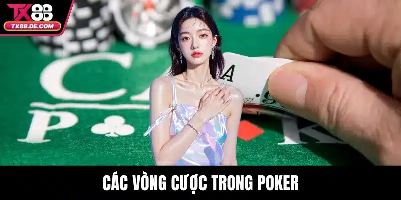 Poker TX88 - Làm Chủ Ván Bài, Chinh Phục Trò Chơi 3 Các vòng cược trong Poker