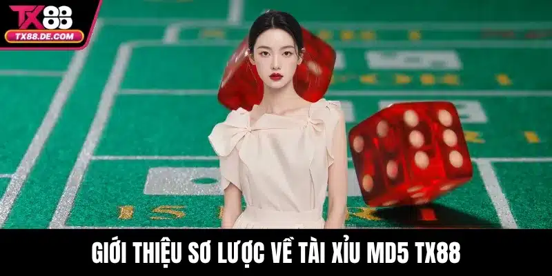 Tài Xỉu MD5 TX88 Là Gì? Hướng Dẫn Chơi Chuẩn Xác Từ A–Z 2 Giới thiệu sơ lược về tài xỉu MD5 TX88