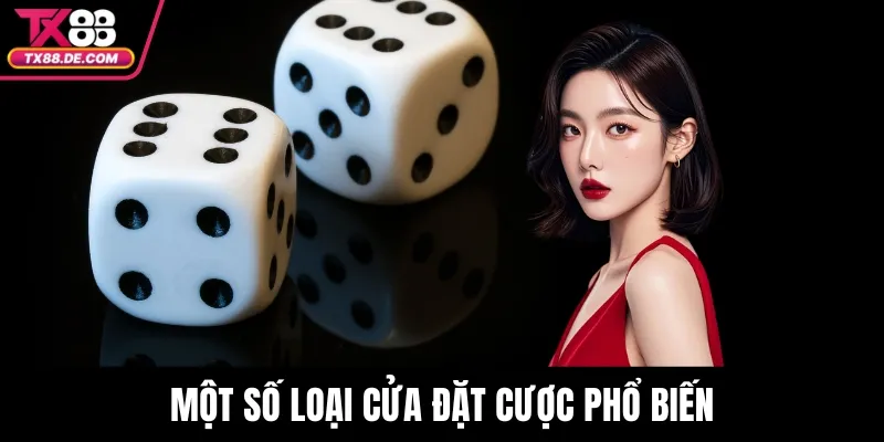 Tài Xỉu TX88 - Hướng Dẫn Chi Tiết Dành Cho Người Mới Bắt Đầu 4 Một số loại cửa đặt cược phổ biến